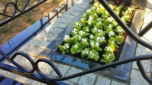 Цветы на могиле